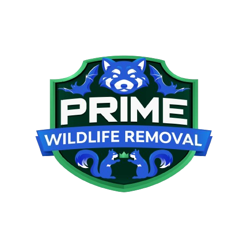 Summit Wildlife Removal